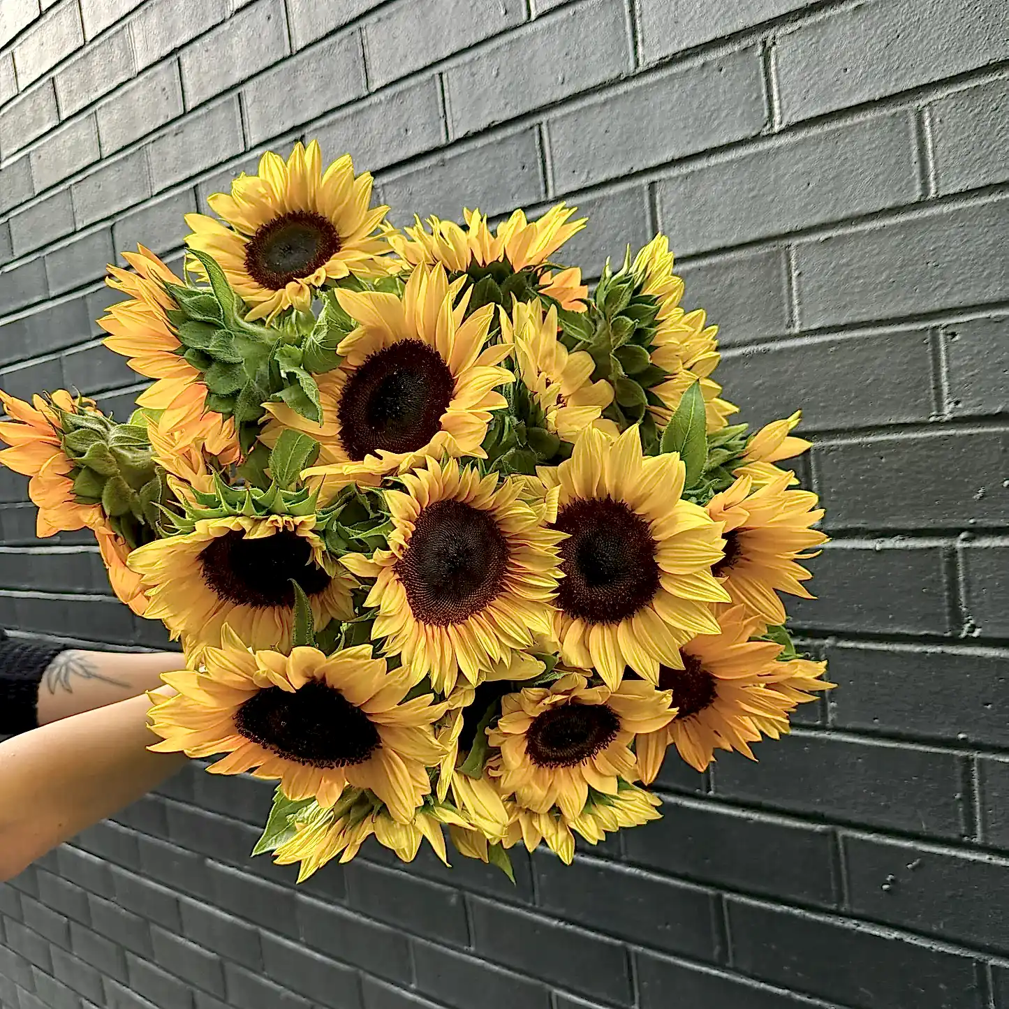 A bouquet of Sunny Sunflowers from Flowers on Norton St is held against a dark gray brick wall. The vibrant sunflowers, featuring their rich brown centers and bright green leaves, create a striking contrast with the background.
