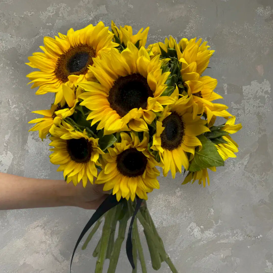 A hand holding a bouquet of "Sunny Sunflowers" from Flowers on Norton St shines against a textured gray wall, enhancing the radiant colors of the flowers' dark centers.