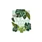 Cover of the "Leaf Supply Book" by Flowers on Norton St. The design features vibrant green leaves, such as monstera and polka dot patterns, against a light green background, highlighting plant care.