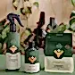 Presenting We The Wild Plant Care Products by FlowersonNortonSt: a collection of essential plant care items set against a verdant backdrop. This set features a spray bottle called "Protect," a smaller bottle titled "Grow," and a pouch named "Support." Each item boasts green and orange designs adorned with leaf illustrations, making them ideal for nurturing your indoor potted plants.