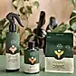 Displayed against a backdrop of plants are three organic plant care products from the "We The Wild" collection by FlowersonNortonSt. From left to right: a green and tan spray bottle labeled "Protect," designed for pest management; a small green and tan bottle labeled "Grow"; and a pouch labeled "Support.