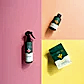 Three We The Wild Plant Care Products by FlowersonNortonSt are displayed against a color-block background, complemented by a potted plant. A spray bottle sits on pink, a small bottle on light orange, and a pouch rests on yellow, each adorned with green labels featuring the same branding to enhance your plant care routine.