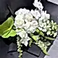 The Under the Limelight bouquet by Flowers on Norton St features an arrangement of white roses, orchids, and lilies with a botanical twist of lime anthuriums and other greenery against a black background.