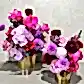 The Passion Pop Purple Bouquet by FlowersonNortonSt features vibrant floral arrangements of pink and purple phalaenopsis orchids, dahlias, flipped roses, and carnations in two gold pots against a neutral textured background, with vivid colors contrasting beautifully with the metallic pots.