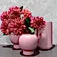 A pair of pink ceramic vases from Flowers on Norton St, filled with dahlias, are arranged alongside a tall, ribbed vase from the Pink Ceramic Vaseware collection against a textured gray backdrop.