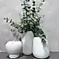A set of three stunning White Ceramic Vaseware pieces from Flowers on Norton St is displayed against a gray textured wall. The tallest vase in the center holds lush eucalyptus branches, while the other two remain elegantly empty, showcasing their varied shapes.