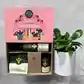 The "Plant Lovers Gift Set" by FlowersonNortonSt includes a small potted plant and essential items like growth concentrate. Presented in a pink and green box decorated with vibrant plant illustrations, it’s ideal for taking care of your plants.
