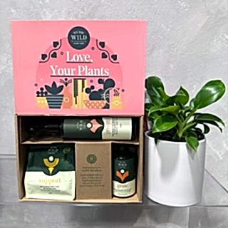 The "Plant Lovers Gift Set" by FlowersonNortonSt includes a small potted plant and essential items like growth concentrate. Presented in a pink and green box decorated with vibrant plant illustrations, it’s ideal for taking care of your plants.