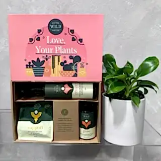 The "Plant Lovers Gift Set" by FlowersonNortonSt includes a small potted plant and essential items like growth concentrate. Presented in a pink and green box decorated with vibrant plant illustrations, it’s ideal for taking care of your plants.