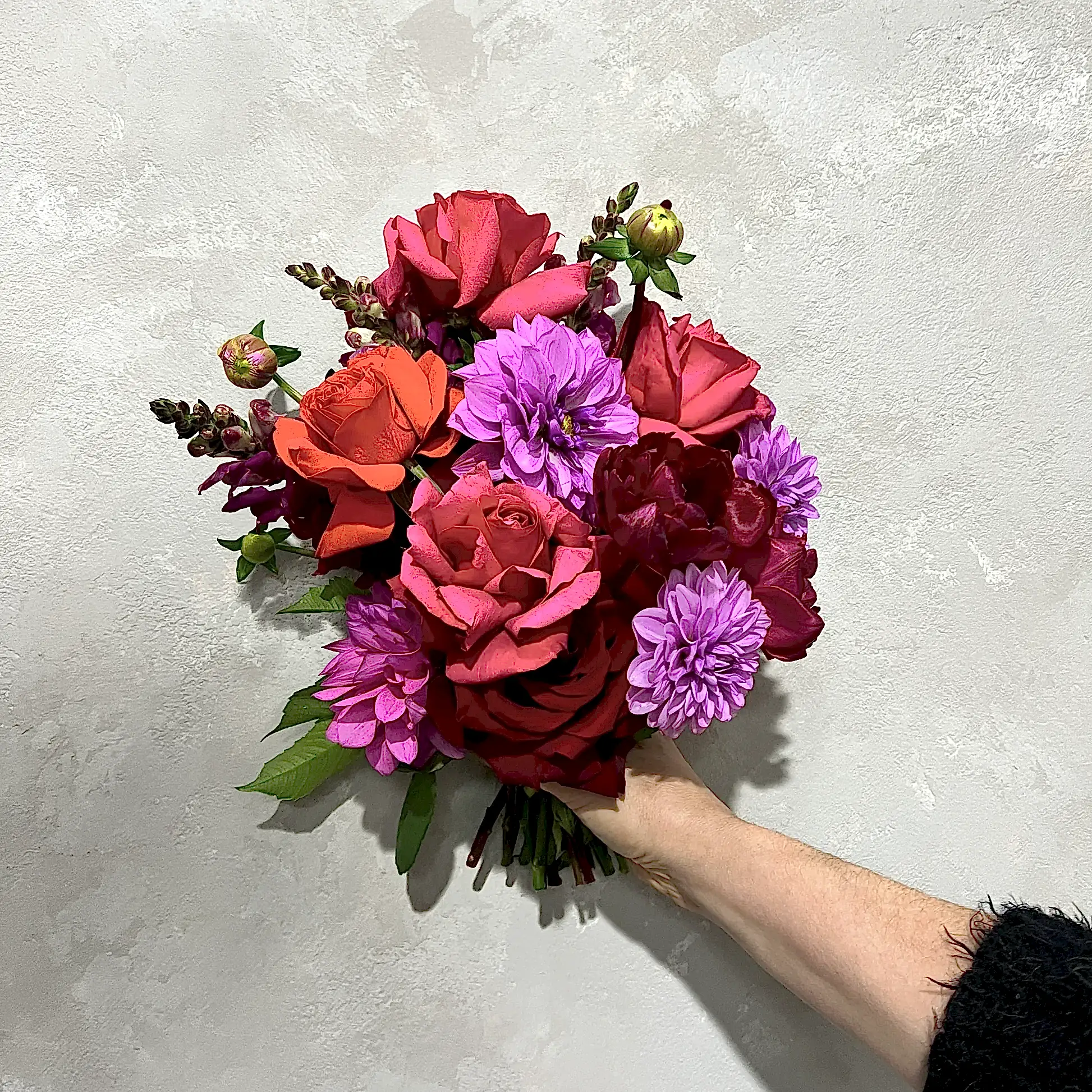 A hand holds a vibrant Be Bold Seasonal Bouquet by FlowersonNortonSt against a textured, light-colored wall. It features red roses, bright purple dahlias, magenta flowers, phalaenopsis orchids, and lush greenery.