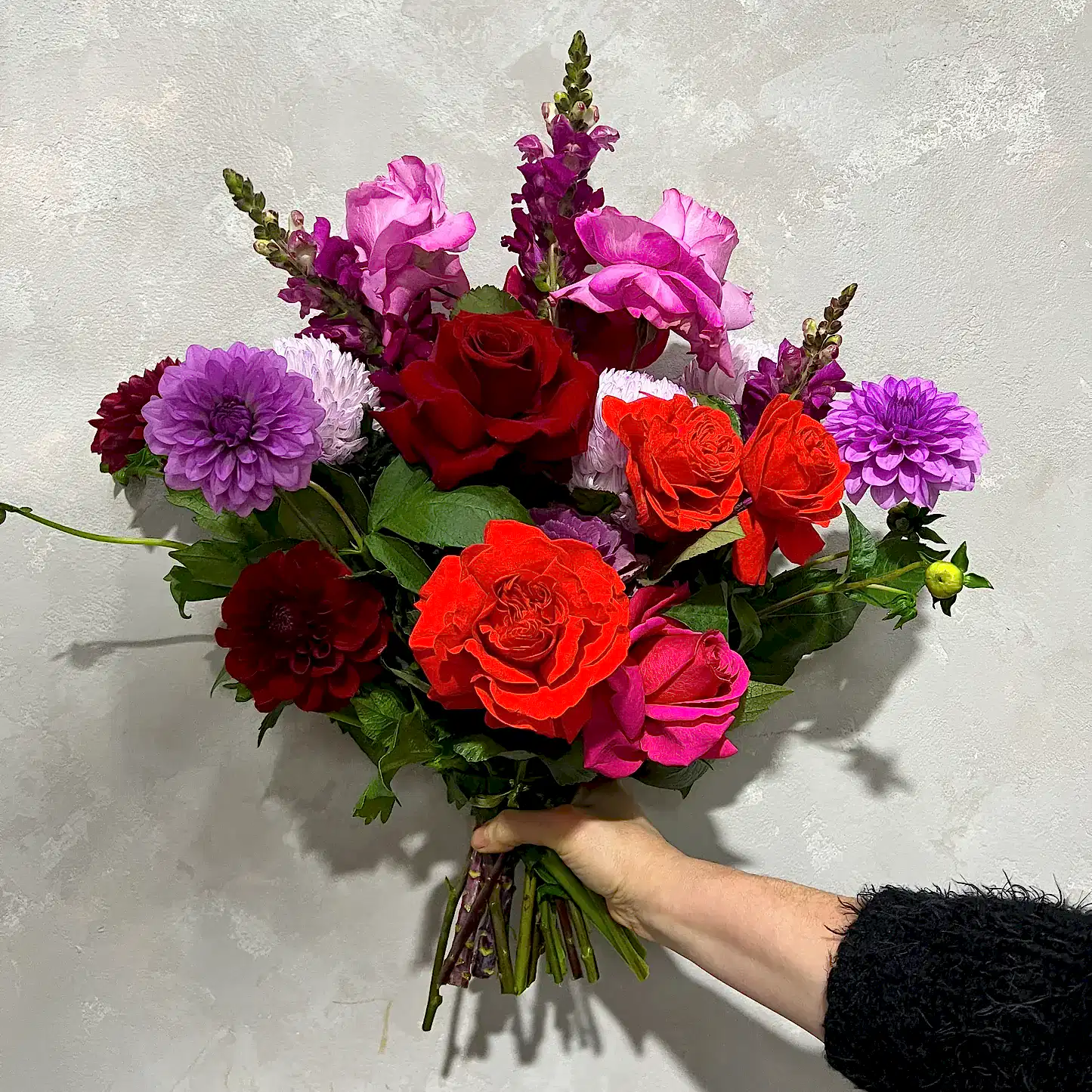 A hand holding the Be Bold Seasonal Bouquet by FlowersonNortonSt against a textured wall. This vibrant arrangement includes red, orange, and pink roses, purple dahlias, phalaenopsis orchids, along with other seasonal flowers for a lush and vivid display.