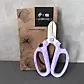 A pair of purple-handled garden snips, perfect for the Budding Florist Kit, is showcased against a textured gray background. These snips are positioned in front of a box labeled "Flower Snips," featuring floral illustrations and the Flowers on Norton St logo.