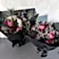 The Little Native Bunch 2024 by Flowers on Norton St features two statement bouquets of native Australian flora, with proteas and banksias wrapped in black paper, enhanced by dark ribbons. Seasonal pink and cream flowers are complemented by green foliage on a neutral background.