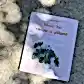 On a concrete surface, the book "How to Raise a Plant" by Flowers on Norton St lies in leafy shadows. With its pink cover featuring a potted plant illustration, it's perfect for aspiring plant parents and indoor gardening enthusiasts.
