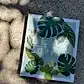 On a stone surface rests the "Leaf Supply Book" from Flowers on Norton St. Perfect for plant care enthusiasts, the cover showcases illustrated green leaves casting whimsical shadows in the sunlight.
