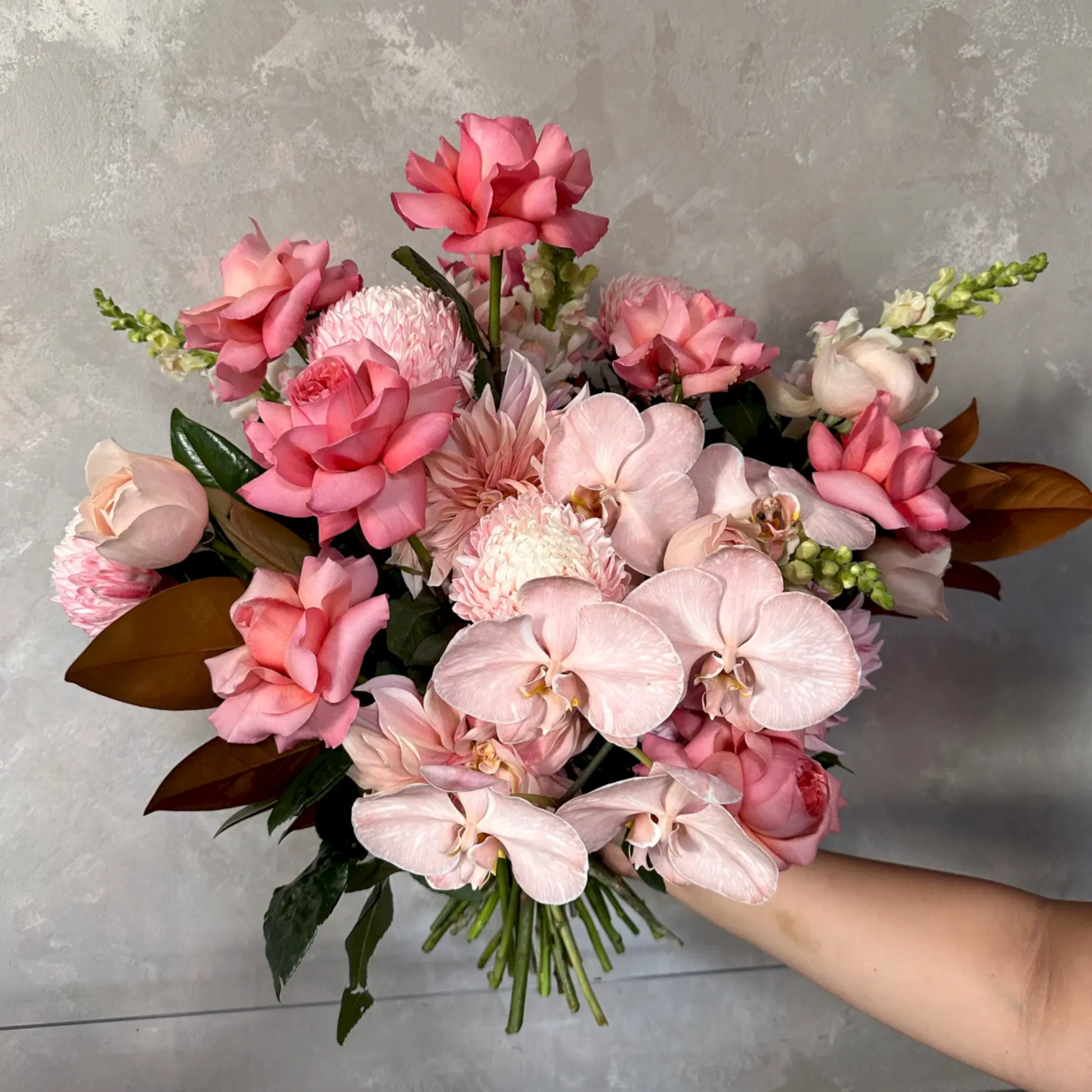 A hand holds the Pink Expression Seasonal Bouquet 2024 by Flowers on Norton St, showcasing pink and peach blooms such as roses and seasonal flowers, adorned with elegant Phalaenopsis orchids and green leaves against a gray textured background.