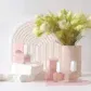 A chic arrangement showcases a pair of MISS FRANKIE | Nail Polish bottles from Flowers on Norton St, elegantly placed on textured white stones and complemented by pink packaging. Adjacent to them is a minimalist vase filled with white flowers, all set against an arched white backdrop.