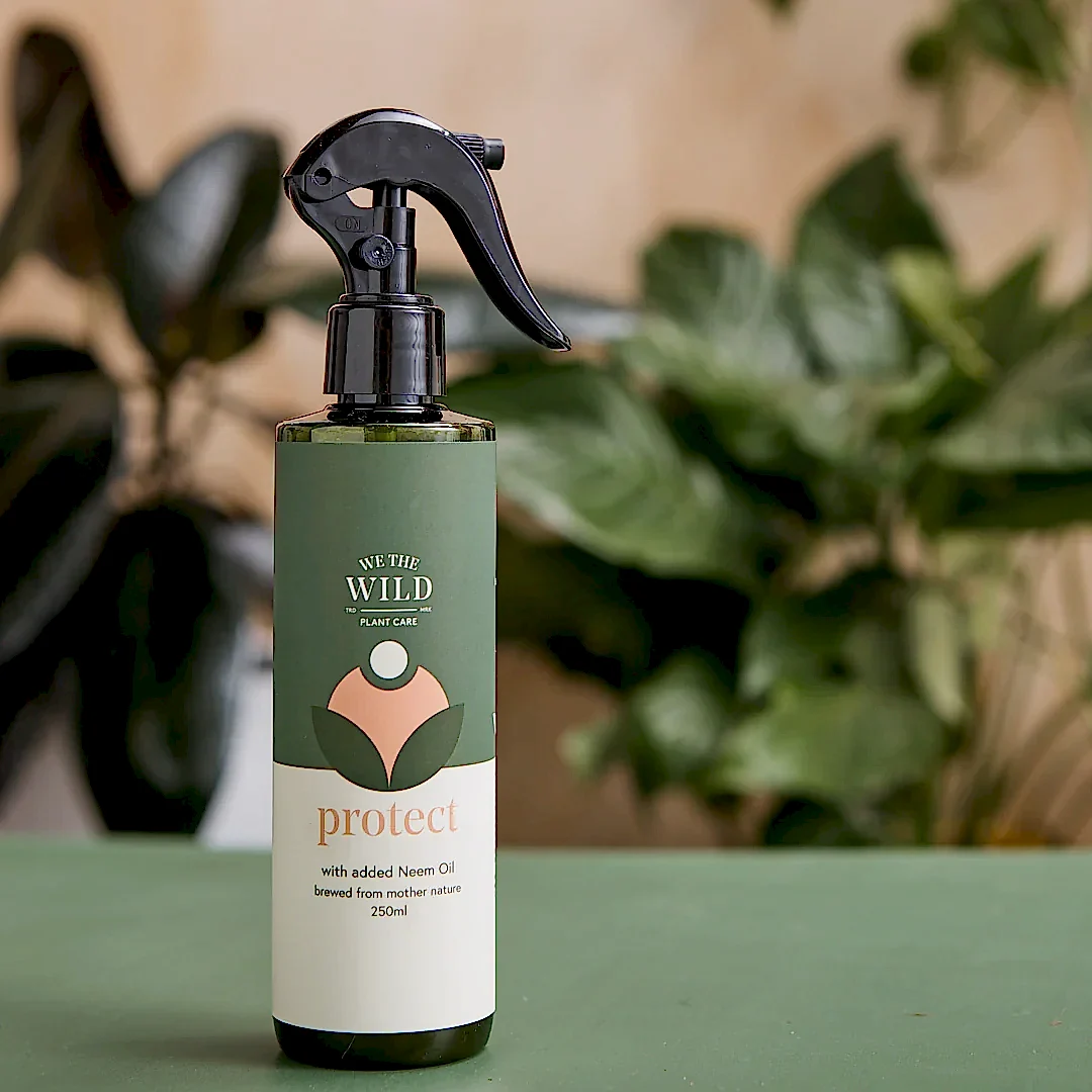 A spray bottle labeled "We The Wild - Plant Care" from the FlowersonNortonSt brand, featuring organic Neem Oil for plant care, rests on a green surface. It provides a natural solution to pest issues, with leaves appearing softly blurred in the background.