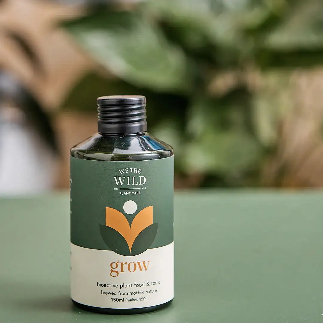 A green bottle labeled "FlowersonNortonSt - We The Wild Plant Care" rests on a lush green surface. This bottle, featuring a plant logo, is filled with organic bioactive plant food and tonic. A softly focused leafy background enhances the natural ambiance, highlighting its commitment to holistic plant care solutions.
