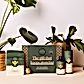 A We The Wild plant care gift set from FlowersonNortonSt is elegantly displayed on a table, featuring organic products such as support, grow, and protect in decorative green packaging. Surrounded by leafy plants and a small metallic sphere, the main box reads "The gift that keeps growing.