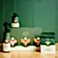 Set against a lush green background, a range of FlowersonNortonSt's "We The Wild - Plant Care" products provides effective solutions for pest problems. An artfully arranged collection includes a spray bottle labeled "protect," an organic small bottle labeled "grow," and a pouch titled "support," all surrounding a branded box on a wooden surface.